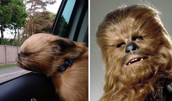 Unexpected Coincidences (20 pics)
