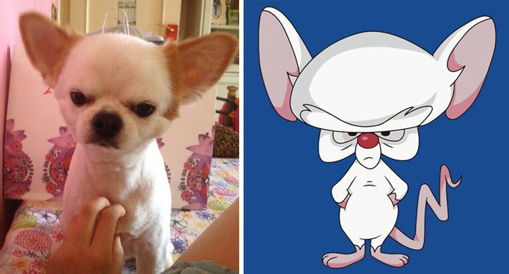 Unexpected Coincidences (20 pics)