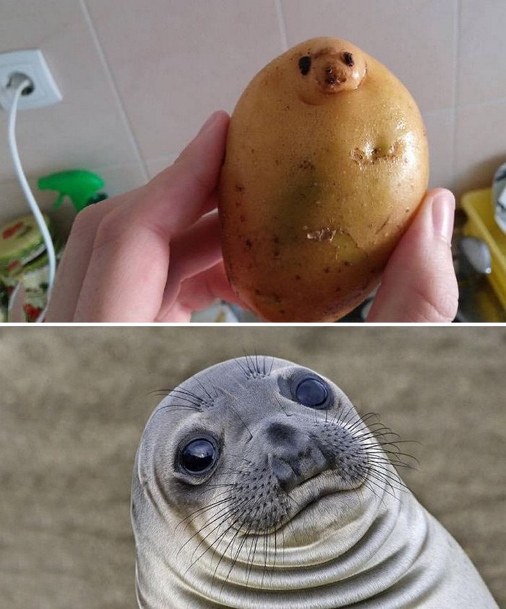 Unexpected Coincidences (20 pics)
