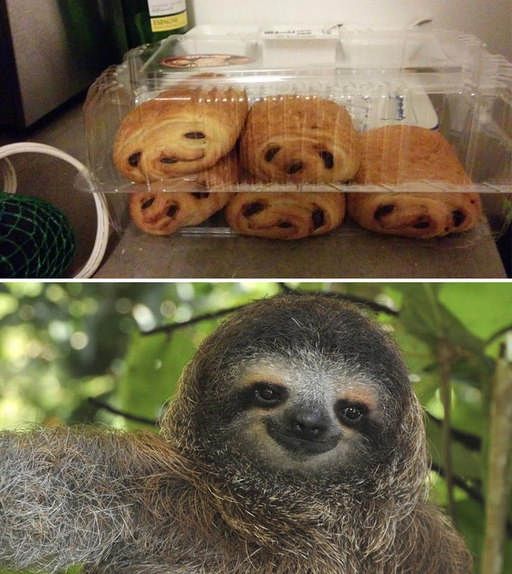 Unexpected Coincidences (20 pics)