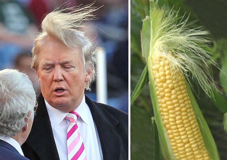 Unexpected Coincidences (20 pics)
