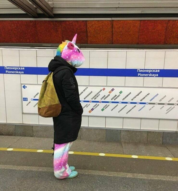 Daily Pictures. Part 1 (72 pics)