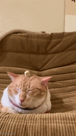 Acid GIFs, February 8 (25 gifs)