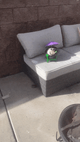 Acid GIFs, February 8 (25 gifs)