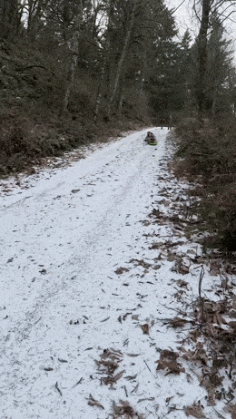 Acid GIFs, February 8 (25 gifs)