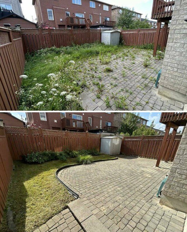 Interesting Comparisons (21 pics)