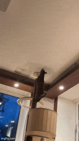 Acid GIFs, February 12 (25 gifs)