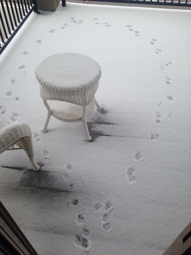 Cool Winter Photos (21 pics)