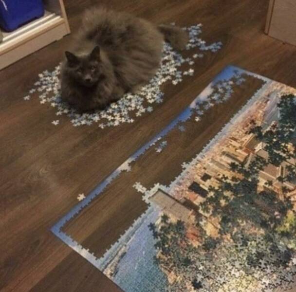 Daily Pictures. Part 1 (75 pics)