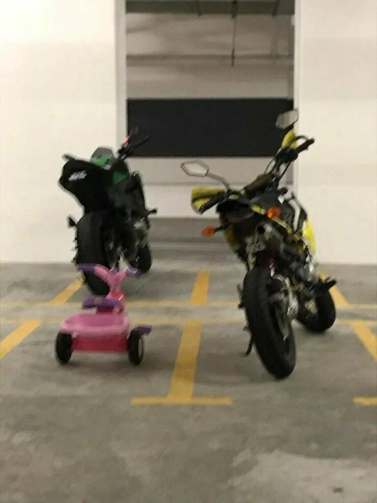 Daily Pictures. Part 2 (71 pics)