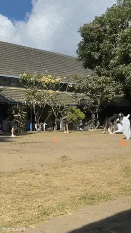 Acid GIFs, February 14 (25 gifs)