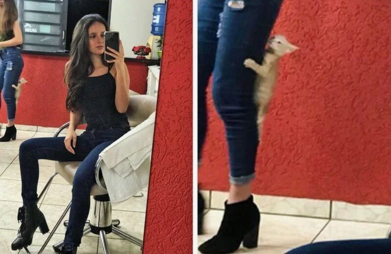 Attention To The Background (13 pics)
