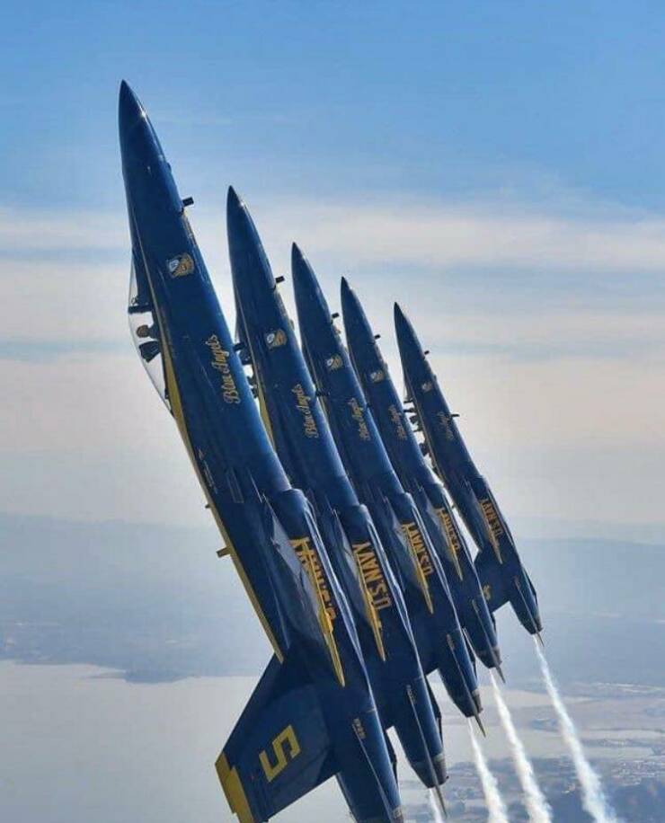 Daily Pictures. Part 2 (70 pics)
