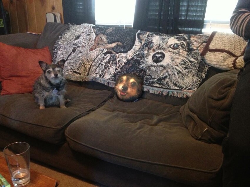 Unusual Things For Home Decor (20 pics)