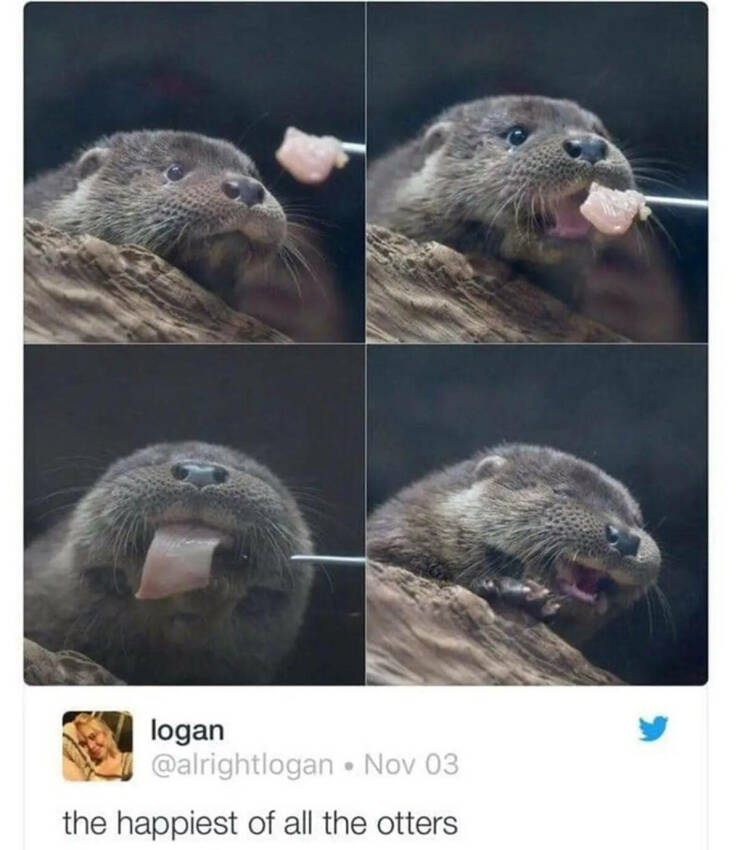 Daily Pictures. Part 2 (69 pics)