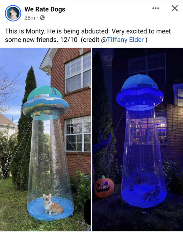 Daily Pictures. Part 2 (69 pics)