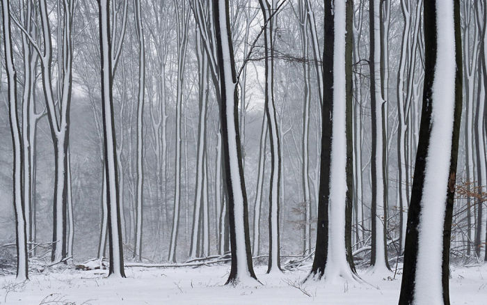 Photos For Perfectionists (20 pics)