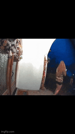 Acid GIFs, February 19 (25 gifs)