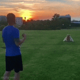 Acid GIFs, February 19 (25 gifs)
