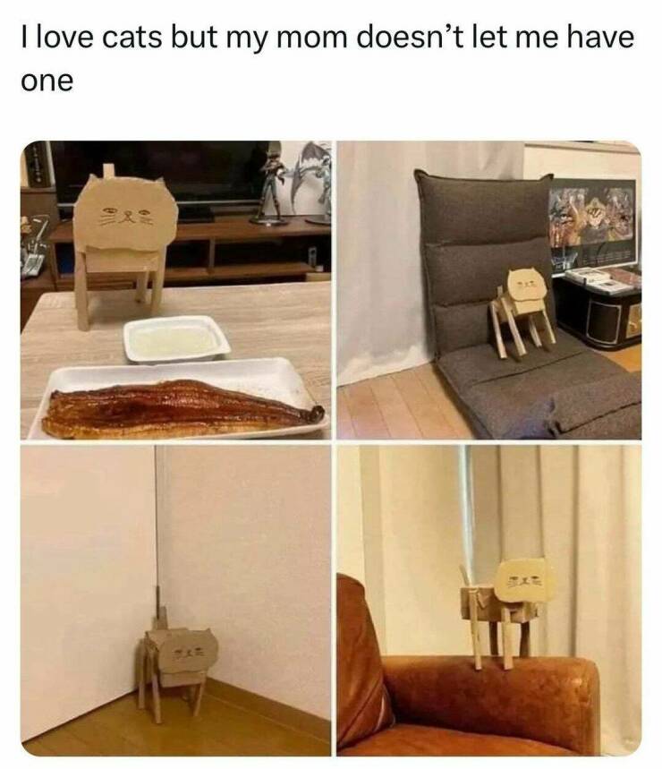 Daily Pictures. Part 1 (72 pics)