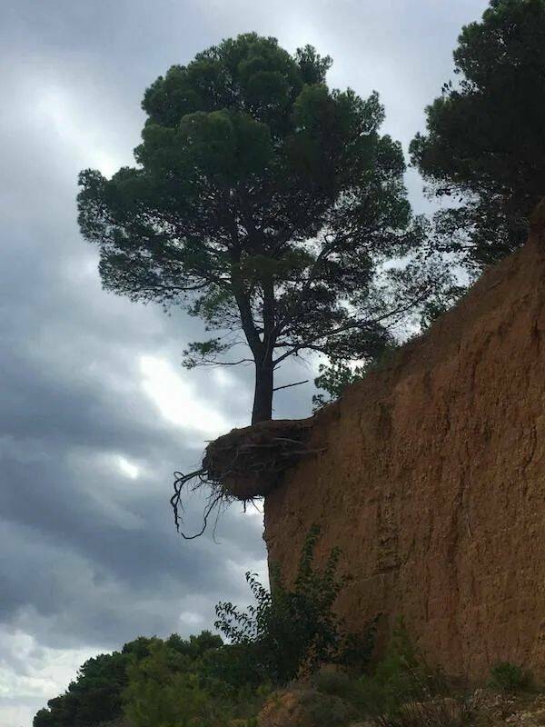 Daily Pictures. Part 1 (72 pics)