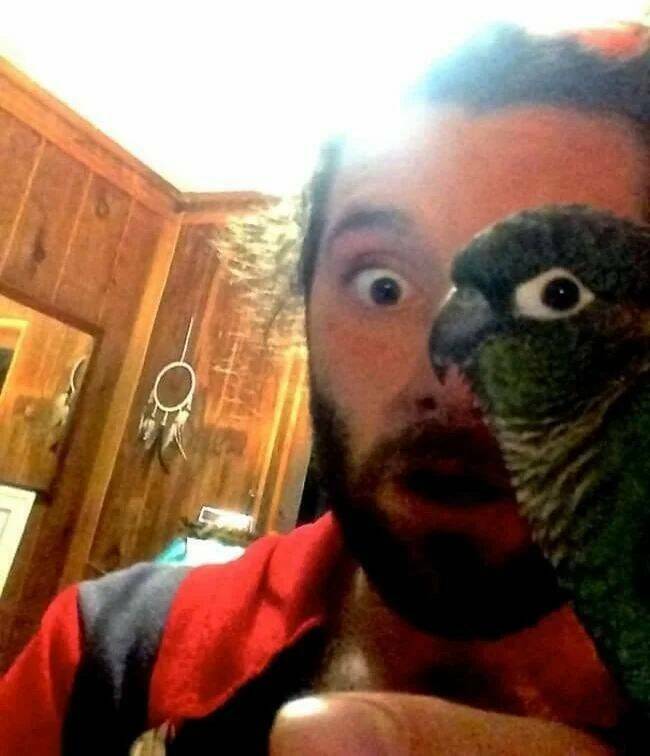Daily Pictures. Part 1 (72 pics)