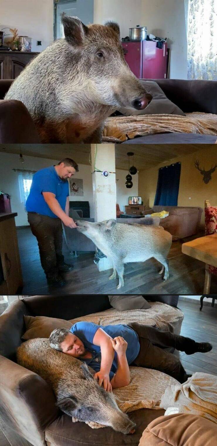 Daily Pictures. Part 1 (72 pics)
