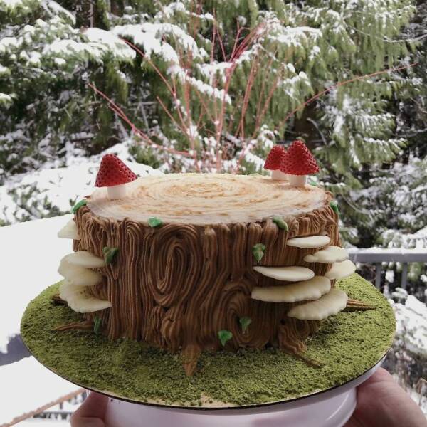 Amazing And Unusual Cakes (25 pics)