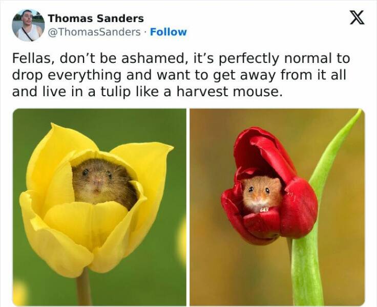Memes About Mental Health (26 pics)
