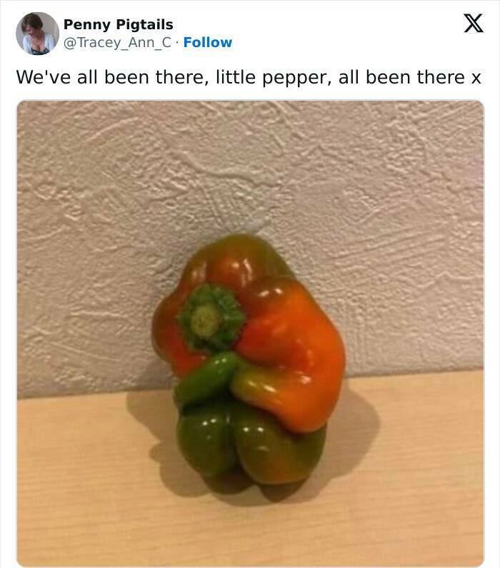 Memes About Mental Health (26 pics)