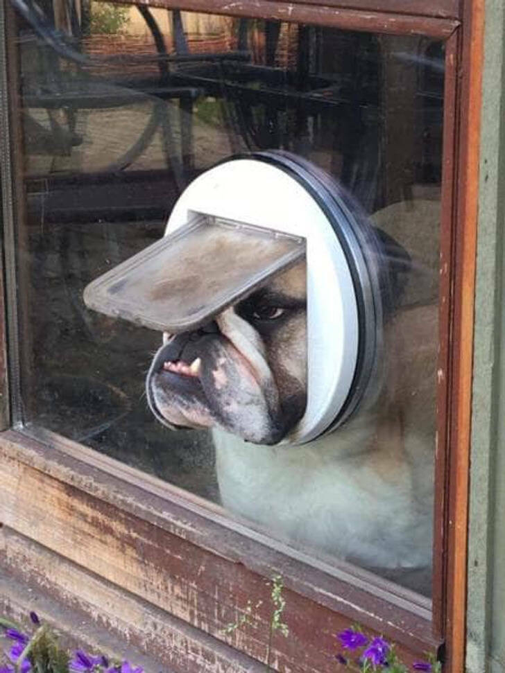 Unsuccessful Online Purchases (13 pics)