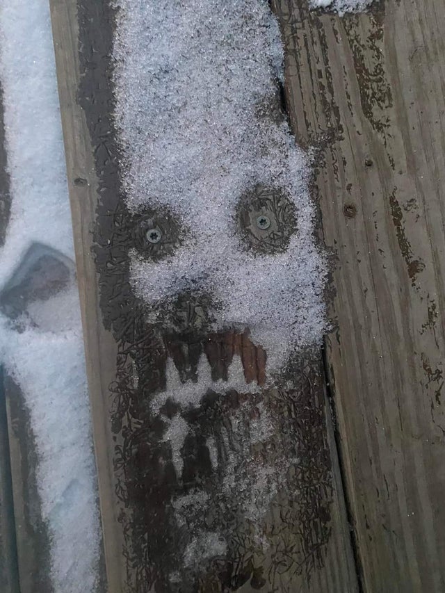 This Is Pareidolia (22 pics)