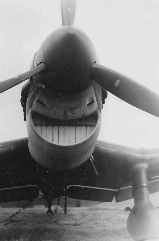 This Is Pareidolia (22 pics)