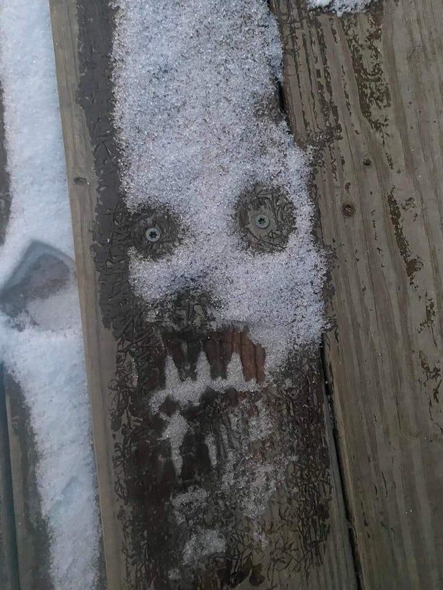 This Is Pareidolia (22 pics)