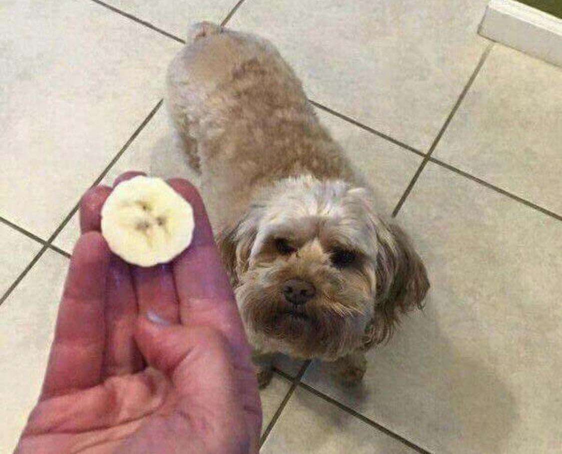 Funny And Unexpected Coincidences (18 pics)