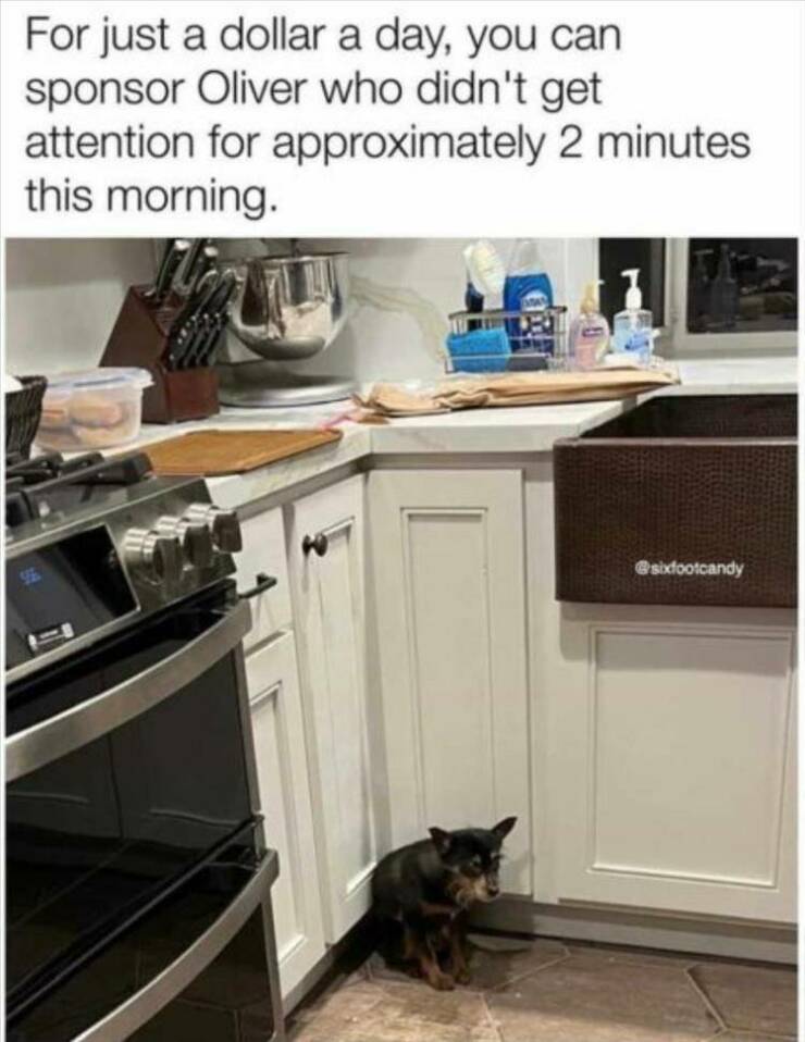 Daily Pictures. Part 2 (70 pics)