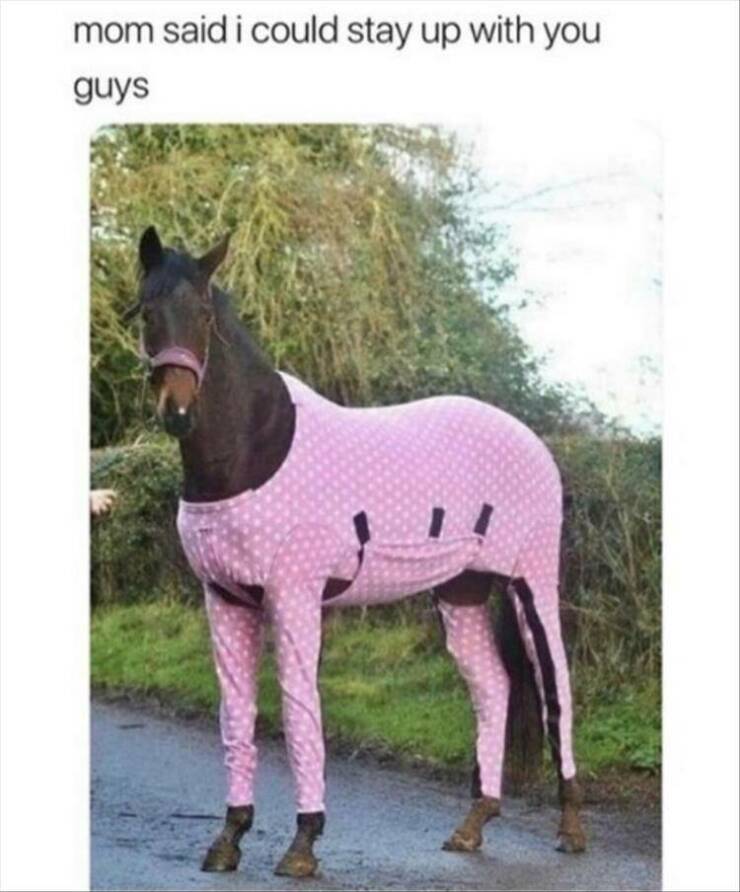 Daily Pictures. Part 2 (70 pics)