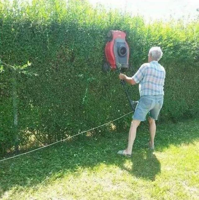What Is Going On Here? (29 pics)