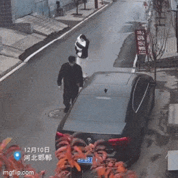 Acid GIFs, February 23 (25 gifs)