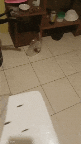 Acid GIFs, February 23 (25 gifs)