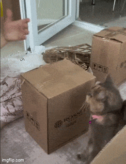Acid GIFs, February 23 (25 gifs)