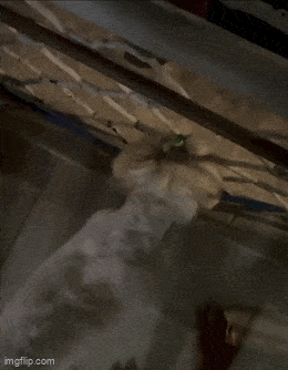 Acid GIFs, February 23 (25 gifs)