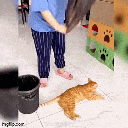 Acid GIFs, February 23 (25 gifs)