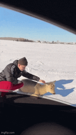 Acid GIFs, February 23 (25 gifs)