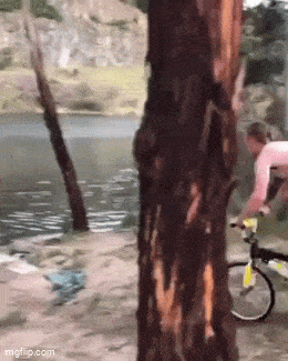 Acid GIFs, February 23 (25 gifs)