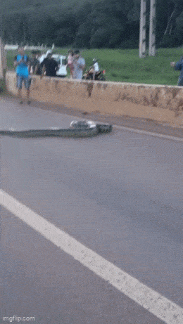 Acid GIFs, February 23 (25 gifs)