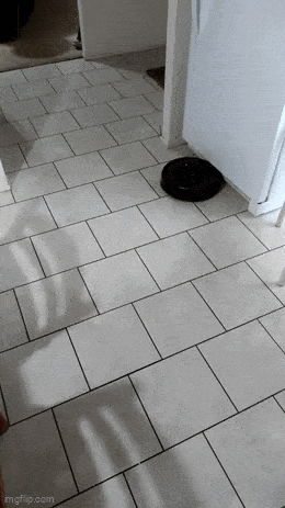 Acid GIFs, February 23 (25 gifs)