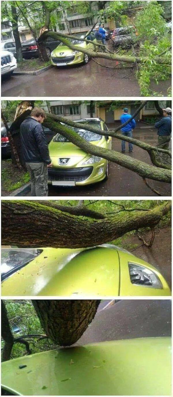 Daily Pictures. Part 1 (63 pics)