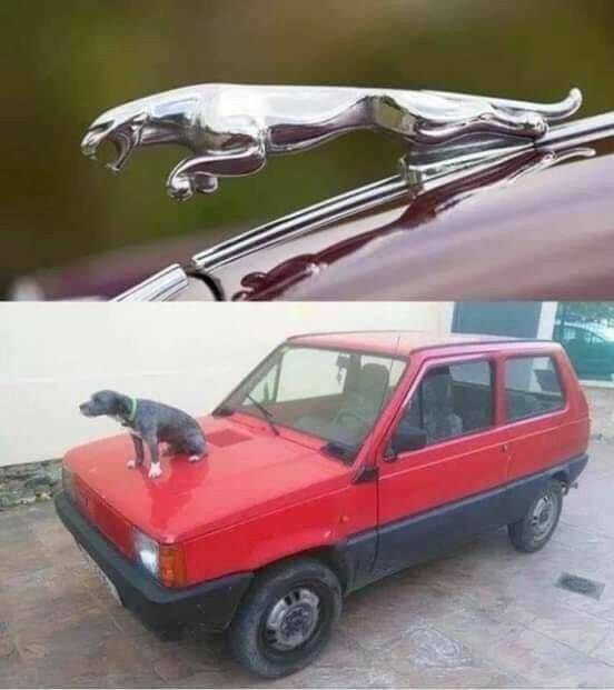 Daily Pictures. Part 1 (63 pics)