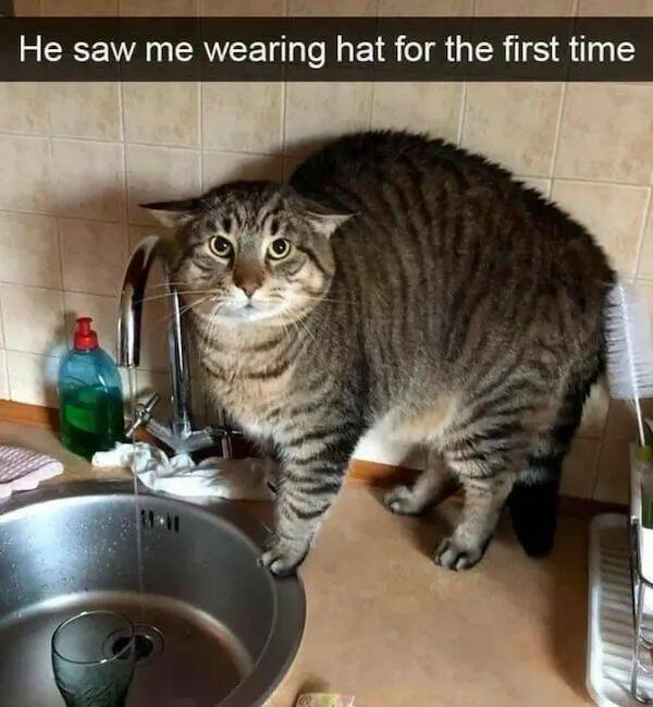 Daily Pictures. Part 1 (63 pics)